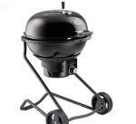 FUOCO NATURALE No.1 F60 AIR PRO VARIO+ ROSLE