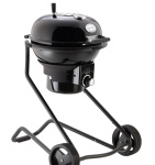 PM STUFE E CAMINI TIVOLI ROSLE BARBECUE A CARBONE