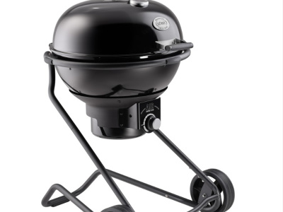 FUOCO NATURALE No.1 F60 AIR PRO VARIO+ ROSLE